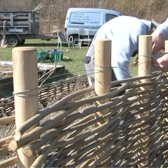 pileflet hegn pileflet hegn